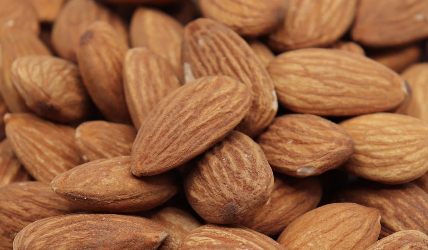 Amandes Gros Plan